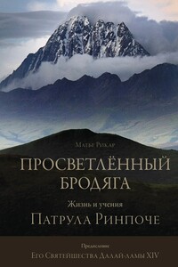 Просветлённый бродяга. Жизнь и учения Патрула Ринпоче