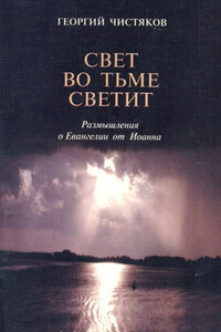 Свет во тьме светит. Размышление о Евангелии от Иоанна