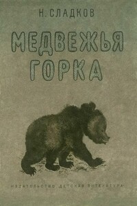 Медвежья горка