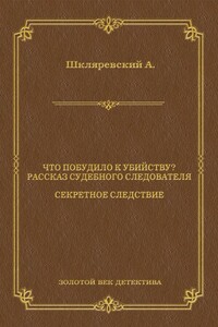 Что побудило к убийству? Рассказ судебного следователя. Секретное следствие