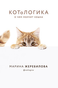 КОТоЛОГИКА. О чем молчит кошка