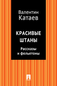 Красивые штаны. Рассказы и фельетоны (сборник)