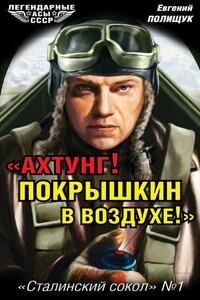 «Ахтунг! Покрышкин в воздухе!»