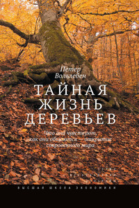 Тайная жизнь деревьев. Что они чувствуют, как они общаются – открытие сокровенного мира