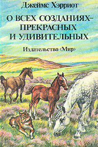 О всех созданиях – прекрасных и удивительных