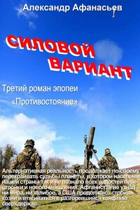 Силовой вариант