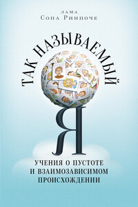 Так называемый Я. Учения о пустоте и взаимозависимом происхождении