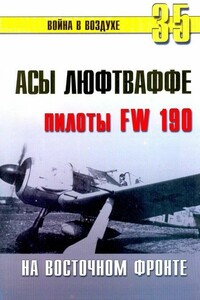 Асы люфтваффе. Пилоты Fw 190 на Восточном фронте