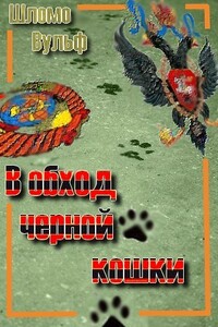 В обход черной кошки