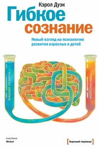 Гибкое сознание. Новый взгляд на психологию развития взрослых и детей