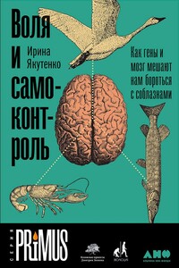 Воля и самоконтроль. Как гены и мозг мешают нам бороться с соблазнами