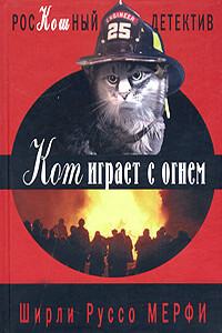 Кот играет с огнем