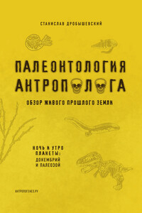 Палеонтология антрополога. Книга 1. Докембрий и палеозой